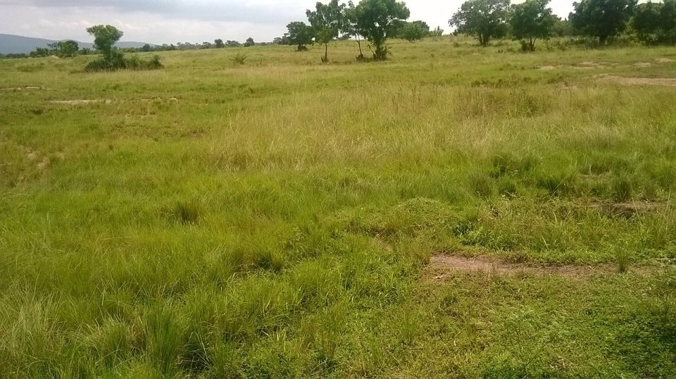 Sale Of Lands